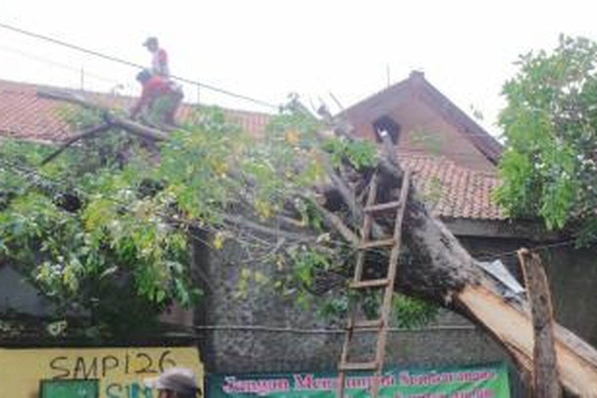 Pohon tumbang menimpa atap sekolah SMPN 20 di Jalan Bulak Rantai, Kramat Jati, Jakarta Timur, Senin (26/1/2015)
