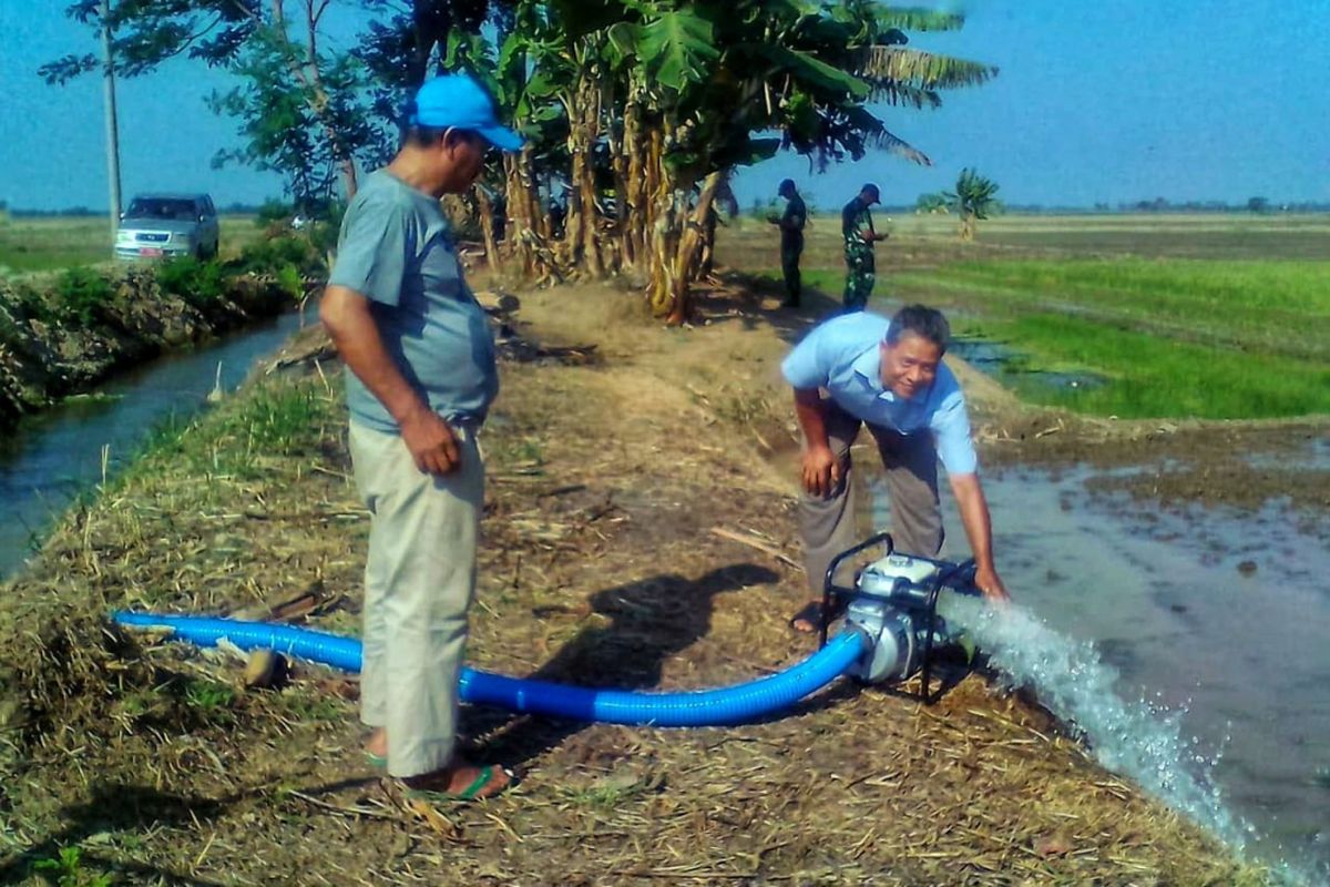 Kementerian Pertanian melakukan pompanisasi pada 9 desa di Kabupaten Karawang yang terancam puso pada puncak kemarau tahun ini.