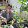 7 Tips Memulai Urban Gardening yang Mudah di Rumah