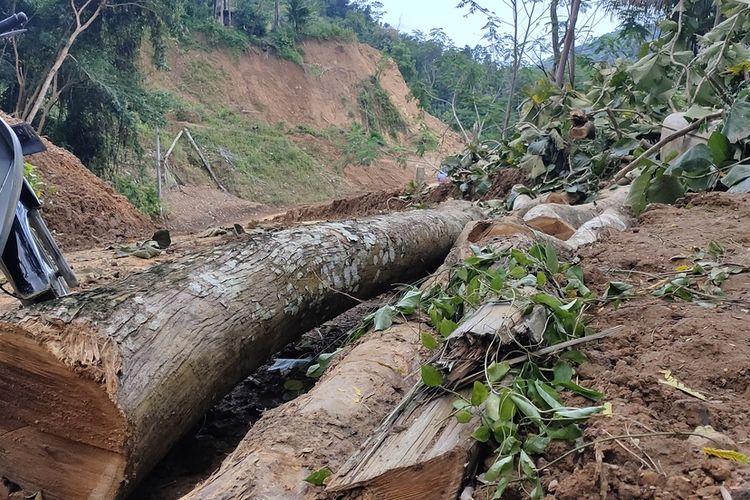 Pemerintah desa Kalirejo dan BPBD Kulon Progo akhirnya bisa membuka kembali akses di Pedukuhan Plampang II, Kalurahan Kalirejo, Kapanewon Kokap, Kabupaten Kulon Progo, Daerah Istimewa Yogyakarta.