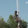Aksi Heroik Anggota Satpol PP Lamongan Panjat Tiang Bendera demi Merah Putih Berkibar