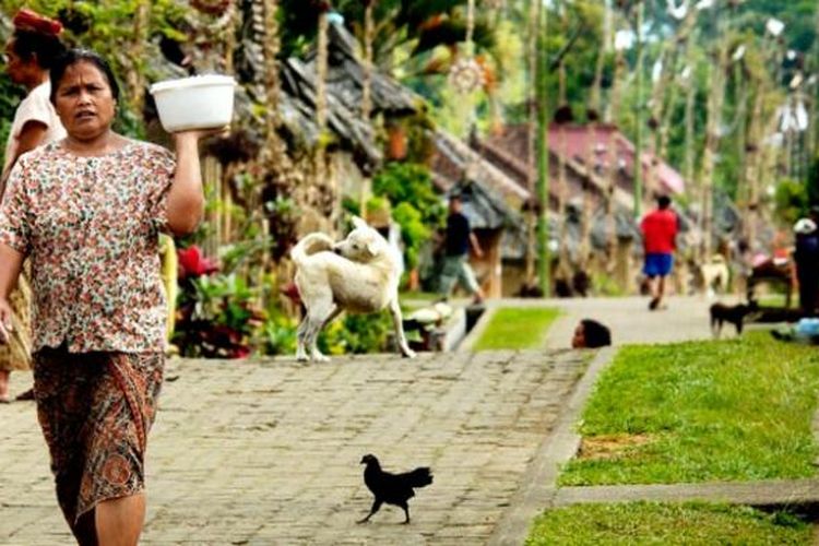 Desa Adat Penglipuran di Kabupaten Bangli, Bali.
