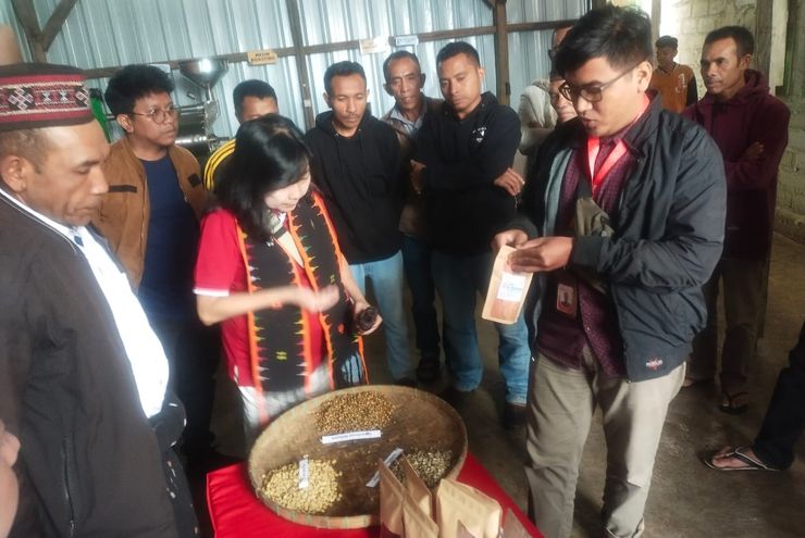 Astra Dorong Perekonomian NTT Lewat Pemberdayaan UMKM Kopi dan Kakao