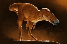 Temuan Dinosaurus Baru di Mongolia Ungkap Jejak Nenek Moyang T. rex