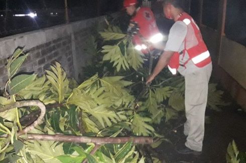 Rumah Rusak hingga Pohon Tumbang akibat Angin Kencang di Sukabumi