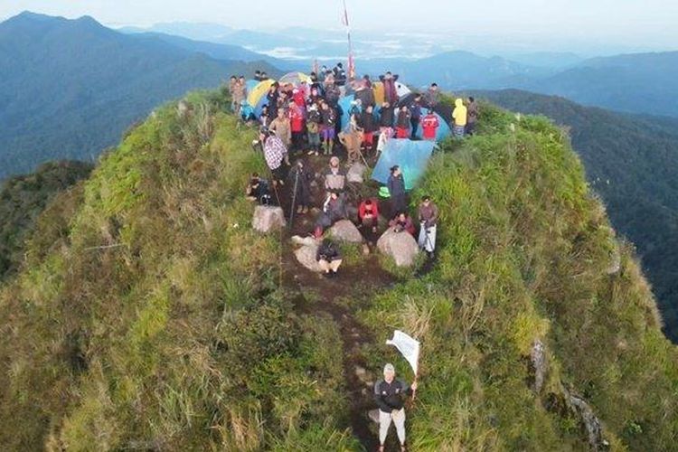 Pemandangan di puncak Gunung Halau-halau, puncak gunung tertinggi di Kalimantan Selatan yang menjadi wisata unggulan di Kabupaten Hulu Sungai Tengah (HST). 