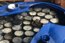 450 Kilogram Ganja Dibungkus Mirip Lemang Ditemukan di Parung Bogor