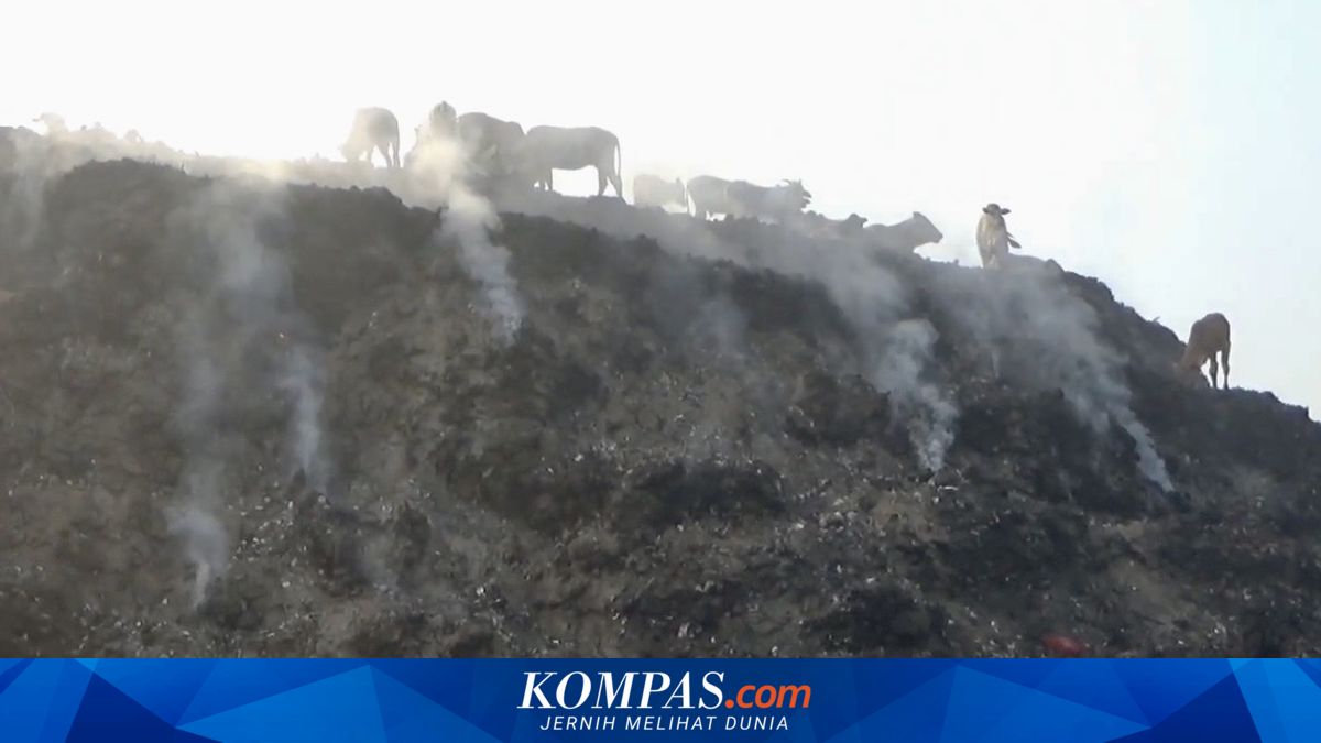 Asap Kebakaran TPA Cikolotok Purwakarta Ganggu Aktivitas Warga, Titik Api Masih Muncul