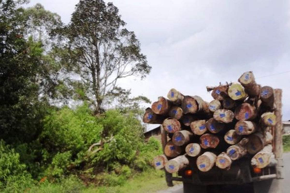 Truk pengangkut hasil hutan milik salah satu industri pulp dan paper di Sumatera Utara, sebagian konsesinya masih menjadi konflik, karena diklaim milik masyarakat.