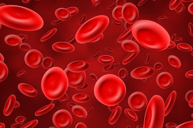 Jumlah sel darah merah yang tinggi meningkatkan risiko penggumpalan darah dalam tubuh Anda.