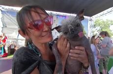 Kisah Haru Mr. Happy Face, Anjing Terjelek di Dunia Tahun 2022
