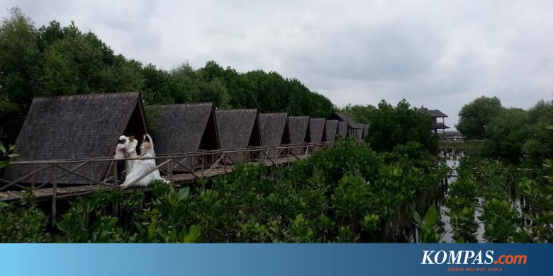 Wisata Angke Kapuk Alternatif Berakhir Pekan Di Utara Jakarta