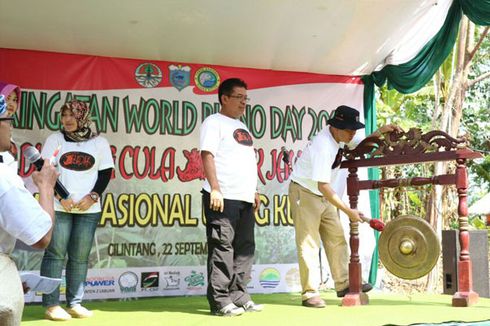 Rayakan Hari Badak Internasional, 4 Anak Badak Jawa Diberi Nama