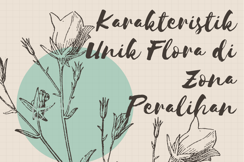 Karakteristik Unik Flora di Zona Peralihan