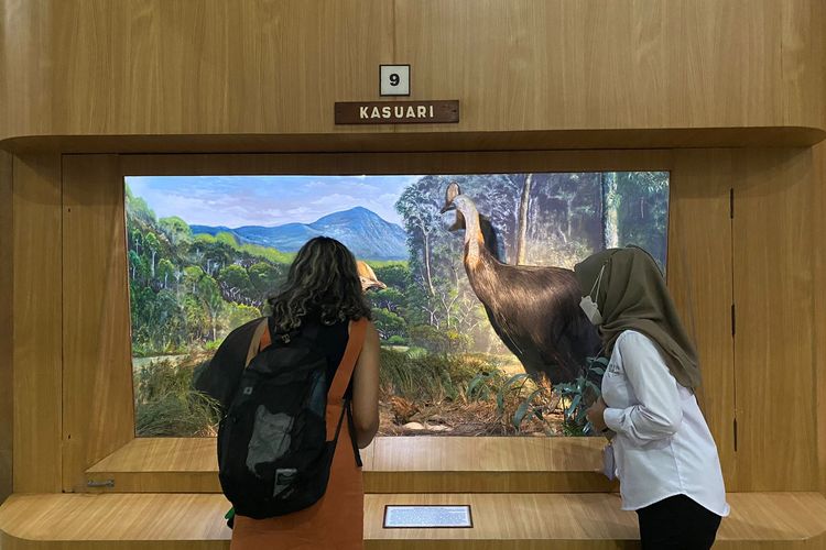 Suasana di dalam Museum Zoologi Bogor. 