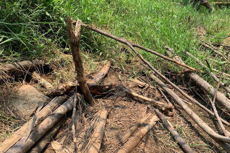 Petugas kepolisian sedang melakukan pemeriksaan kerangka manusia yang ditemukan di dalam hutan Jasing, Kabupaten Bogor, Jawa Barat, Jumat (27/10/2023)