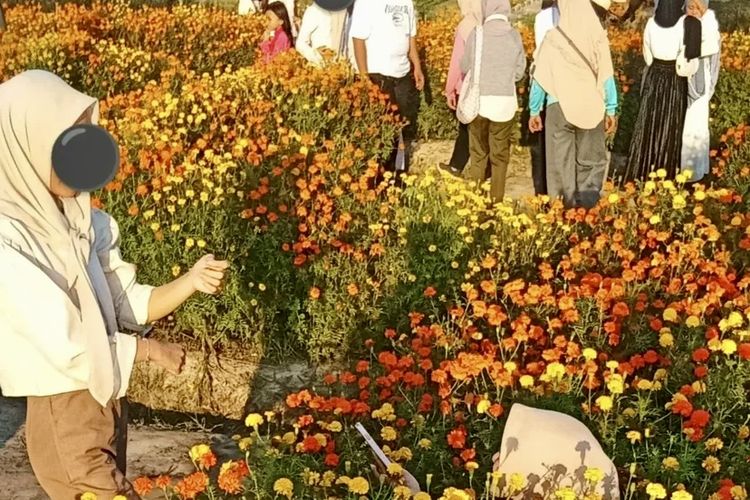 Labirin Kebun Raya Itera Lampung Rusak oleh Pengunjung yang Swafoto