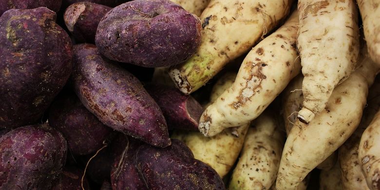 4 Tips Simpan Ubi Jalar Agar Tahan 1 Bulan Jangan Taruh Kulkas Halaman All Kompas Com 4 Tips Simpan Ubi Jalar Agar Tahan 1 Bulan Jangan Taruh Kulkas Halaman All Kompas Com