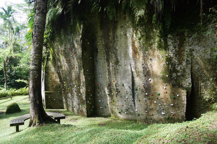 Salah satu fasilitas outdoor, rock climbing di Como Shambhala Estate, Bali, Sabtu (16/12/2017).