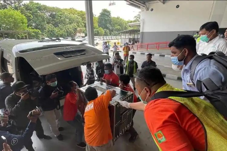 Orangutan Sumatera Korban Penyelundupan ke India Dipulangkan, Bakal Dilepasliarkan di Gunung Leuser