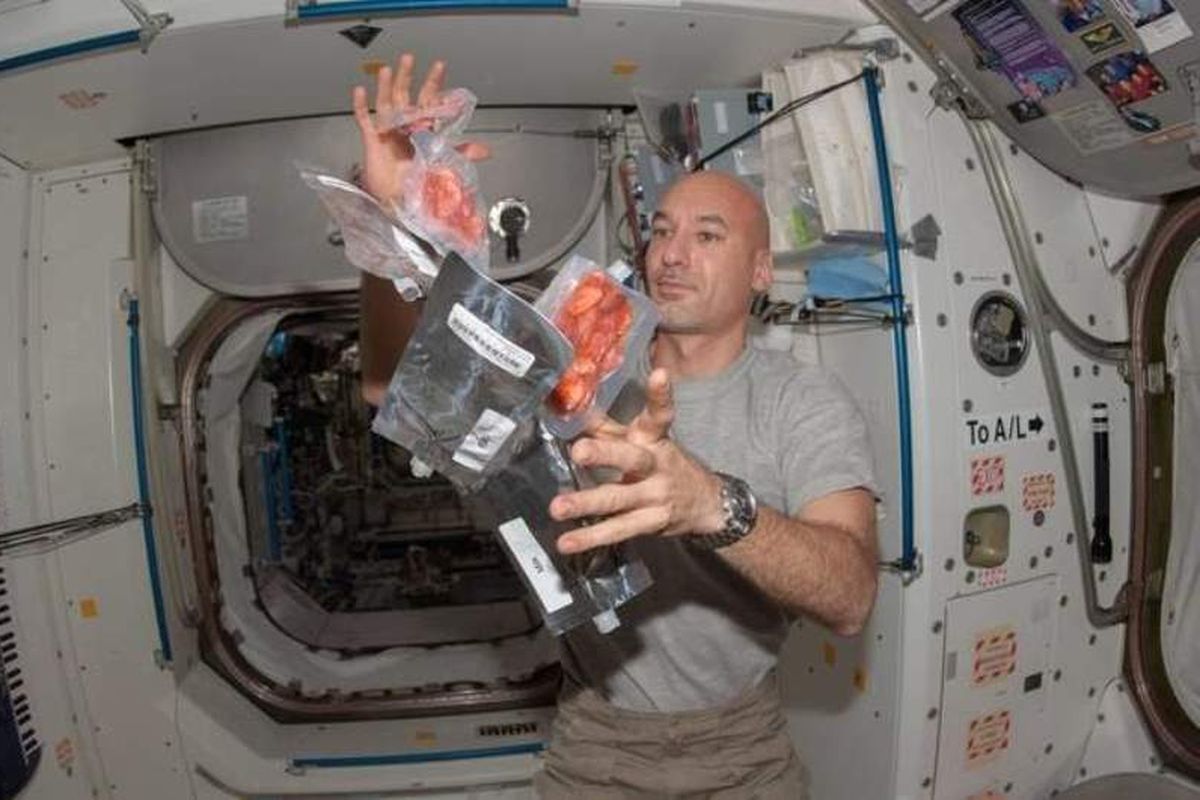 Luca Parmitano, teknisi penerbangan Expedition 36 dengan paket makanan di node Unity dari ISS.