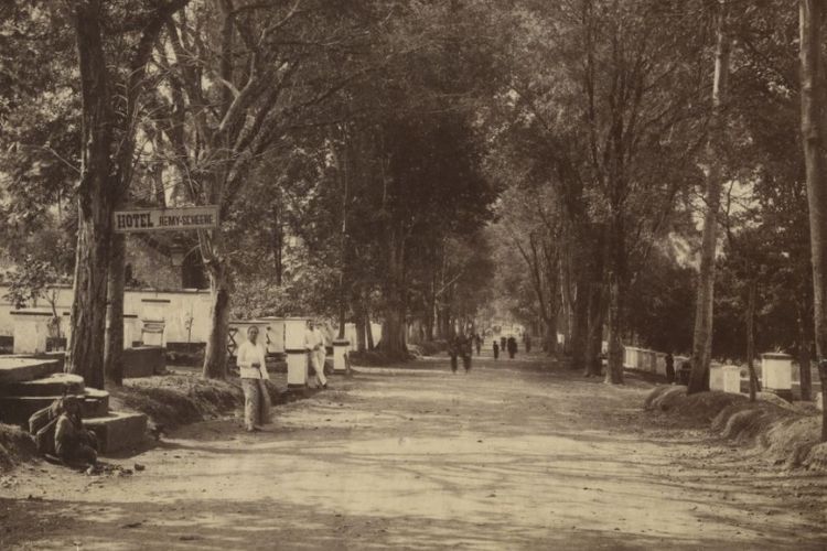Foto Jalan Salatiga selatan Semarang 1905