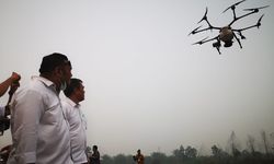 Cegah Karhutla, Kementan Kenalkan Metode Pembukaan Lahan Tanpa Pembakaran