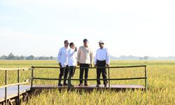 Serapan Beras Bulog Januari–Mei 2025 Jadi yang Tertinggi dalam 57 Tahun