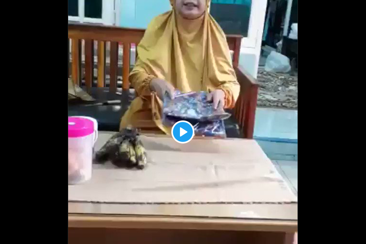 Video viral pembeli dimaki kurir saat COD, karena barang yang diterima tak sesuai. Pembeli mengeluarkan kata kasar dan meminta kurir mengembalikan barang ke pengirim.