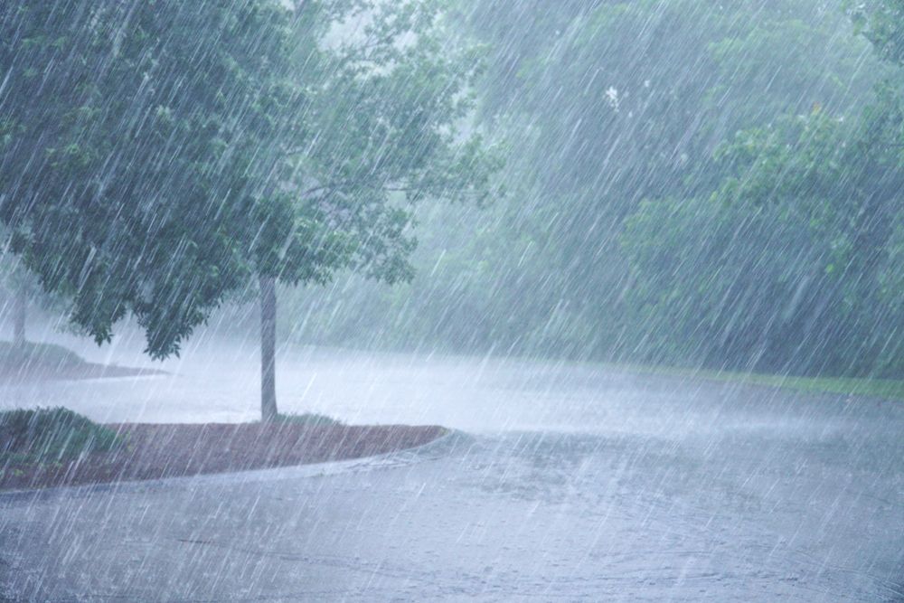 BMKG: Wilayah Berpotensi Hujan Lebat, Petir, dan Angin Kencang pada 10-11 April 2024