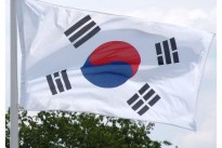 Investasi internasional Korea Selatan di sektor properti komersial terus mengalami pertumbuhan. Angka fantastis terjadi dalam lima bulan pertama 2013, dengan pertumbuhan 900 persen dari sebelumnya hanya 500 juta dollar pada 2012.
