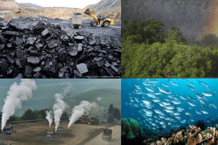 Potensi sumber daya alam Indonesia meliputi hutan, lautan, minyak bumi, gas alam, dan batu bara.