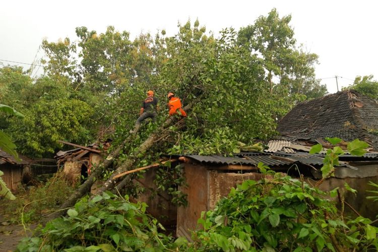 Dampak Angin kencang di Kalurahan Mulusan, Kapanewon Paliyan, Gunungkidul Jumat (11/3/2022)