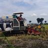 Bulog Targetkan Serap 22.200 Ton Gabah di Blora, Terjunkan Tim Jemput Pangan ke Sawah