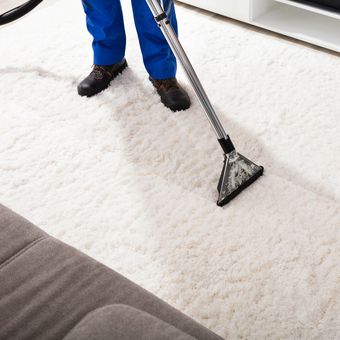 ilustrasi membersihkan karpet bulu