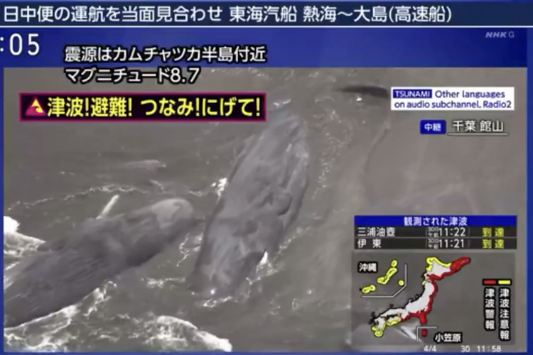 Tsunami Jepang Sebabkan 4 Paus Terdampar, Terjadi Beberapa Saat Setelah Gempa Rusia