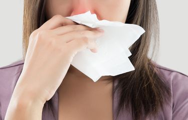 25 Penyebab Hidung Tersumbat dan Cara Mengatasinya Halaman all - Kompas.com