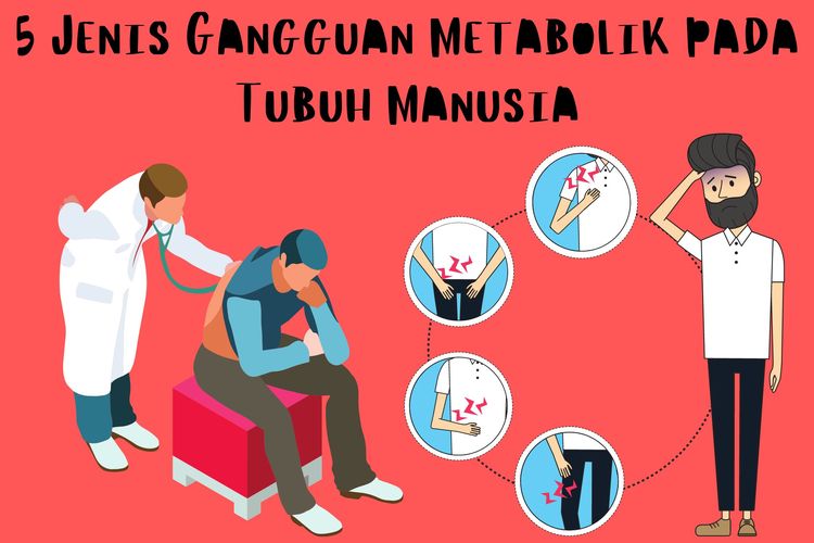 Foto 5 Jenis Gangguan Metabolik Pada Tubuh Manusia foto-5-jenis-gangguan-metabolik-pada-tubuh-manusia