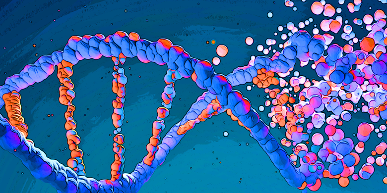 Fungsi dan Macam  Macam  DNA