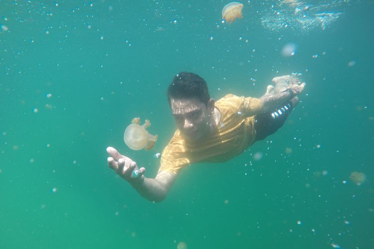 Wisatawan berenang bersama ubur-ubur di Pulau Kakaban.