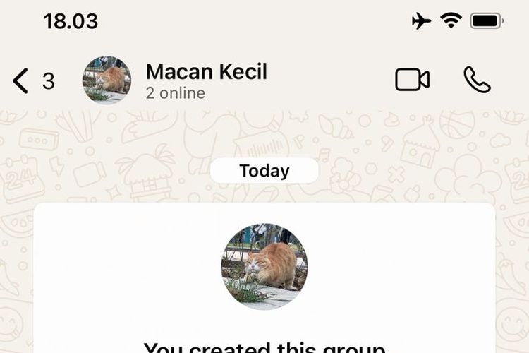 Tampilan status Online grup WA. Status Online muncul di bawah nama grup dengan terdapat keterangan jumlah anggota yang tengah online.