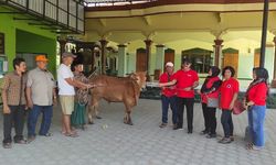 Semarak Perayaan Idul Adha 1445 H, DPC PDIP di 38 Daerah Jatim Sembelih Hewan Kurban