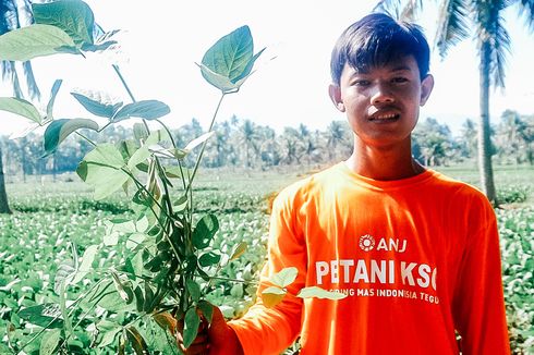 Masa Depan Petani Muda Indonesia dan Regenerasi Petani