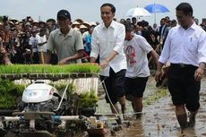 Rabu, Presiden Jokowi Dijadwalkan Hadiri Panen Garam di Kupang