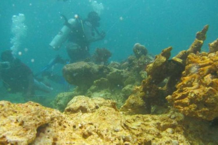Terumbu karang yang rusak karena kapal Inggris Caledonian Sky terjebak di perairan dangkal Raja Ampat.