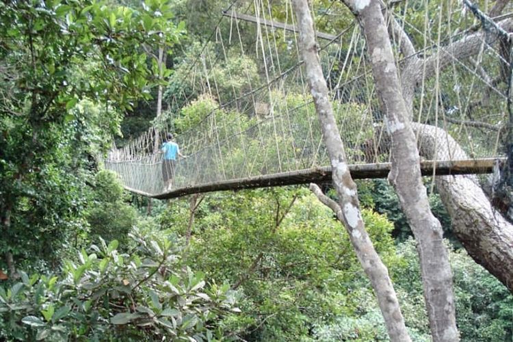 Jembatan Taman Nasional Taman Negara