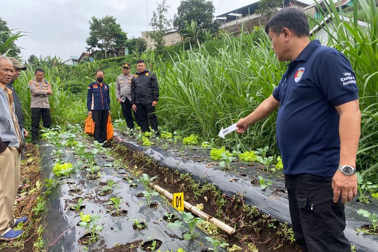 Polisi melakukan olah TKP penemuan mayat di ladang brokoli di Kampung Barunagri, Desa Sukajaya, Kecamatan Lembang, Kabupaten Bandung Barat, Jawa Barat, Sabtu (20/1/2024).
