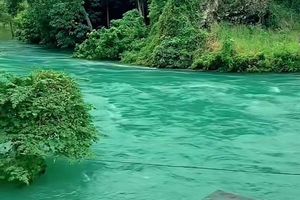 Air Danau Singkarak Mendadak Jernih di Tengah Banjir Sumatera, Ada Apa?