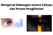 Mengenal Hubungan antara Cahaya dan Proses Penglihatan