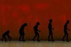 2 Teori Evolusi: Manusia Purba dan Charles Darwin